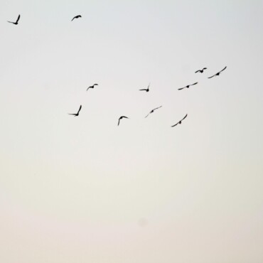 Νίκος Γκάτσος: Να βρεις μιαν άλλη θάλασσα, μιαν άλλη απαλοσύνη