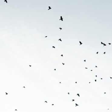 Γιάννης Ρίτσος: Χρέος