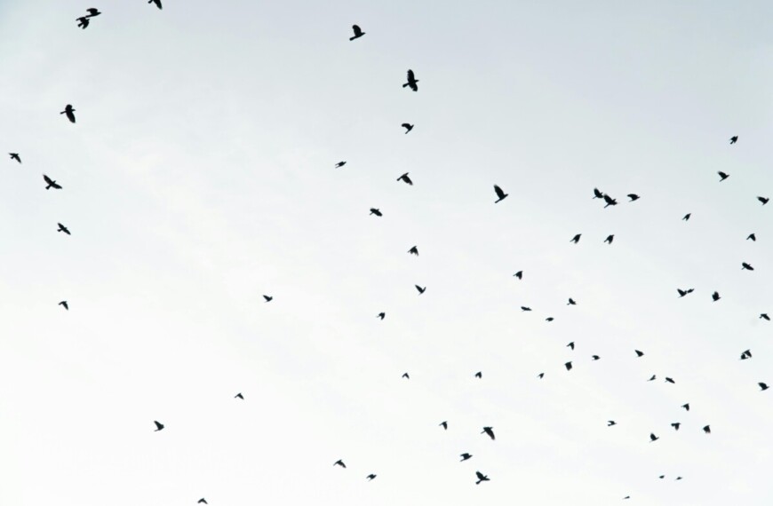 Γιάννης Ρίτσος: Χρέος