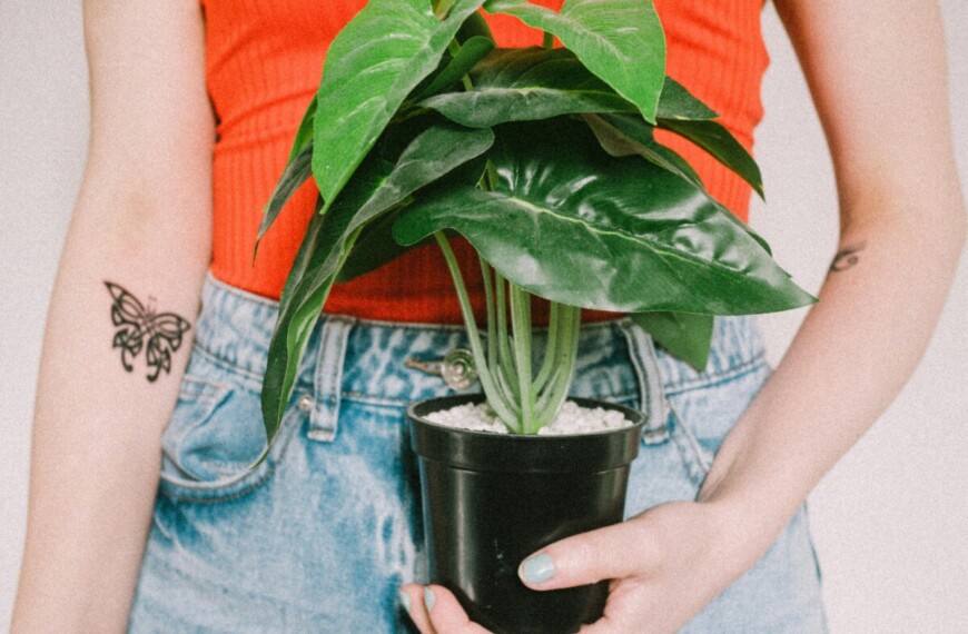 Η νέα τάση στην ευεξία: Γιατί η Gen Z «ψηφίζει» παραδοσιακή κινεζική ιατρική